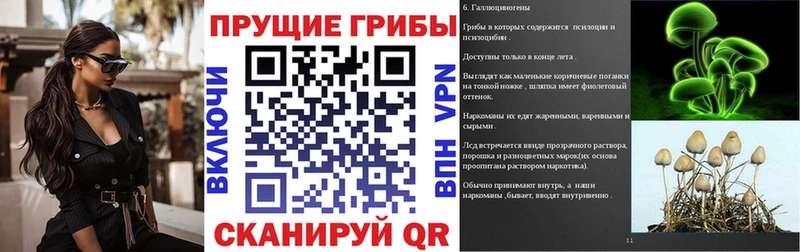 наркота кракен ONION shop наркотические препараты Подпорожье Галлюциногенные грибы GOLDEN TEACHER