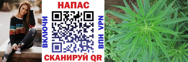 купить наркотик  Подпорожье  Марихуана семена 